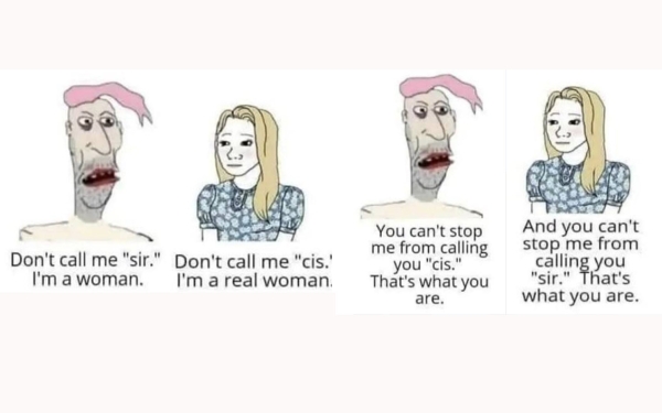 Wokeismen og kampen om virkeligheten