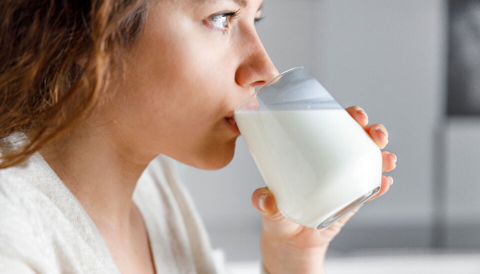 Nanomaterialer i melk: Hva vet vi om risikoen?